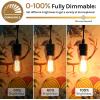 image60 Watt Incandescent Edison Light Bulbs Vintage Dimmable E26 Bulbs ST58 2200K Warm White Antique 260LM E26 Medium Screw Base Amber Filament Bulbs for Home Bedroom Office Decorative Lamp4PackST58