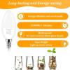 imageBrightever Candelabra 40W Equivalent LED Light Bulbs 4W Candle Light Bulbs with Small E12 Base Daylight White 5000K Ceiling Fan Lightbulbs Type B Bulb for Wall Sconces NonDimmable Pack of 62700k Warm White