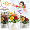 imageBrightever Dimmable Amber Light Bulbs 60 Watt Equivalent 2200K Warm Light Vintage LED Edison Bulbs 850LM 90CRI 7W ST58 E26 LED Bulb Clear Glass Antique Decorative Lights Bulb for Room 6Pack2700k Warm White