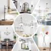 imageE12 LED Candelabra Bulbs 40 Watt Equivalent 4W Vintage Candle Light Bulbs Dimmable 470Lm Warm White 2700K B11 Edison Bulb Filament Clear Glass Lamp Bulb for Chandelier Ceiling Fan 5 Packs40w Daylight White 5000k
