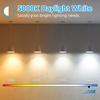 image:imageBrightever 8Pack Vintage LED Edison Bulbs 60W Equivalent 6W ST58 5000K Daylight White Antique LED Filament Bulbs E26 Medium Base Clear Glass Style for Home and Commercial Nondimmable