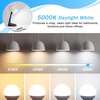 image:imageBrightever 6W A15 E12 LED Light Bulbs Dimmable 60W Equivalent5000k Daylight White