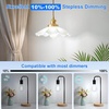 image:imageBrightever A19 Vintage LED Edison Light Bulb 8W E26 Bulbs 2700K Warm White5000k Daylight White