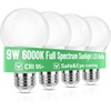 image:imageBrightever 9W A19 Full Spectrum Light Bulbs 6000K Daylight Sunlight Bulbs6000k Daylight White