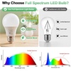 image:imageBrightever 9W A19 Full Spectrum Light Bulbs 6000K Daylight Sunlight Bulbs6000k Daylight White