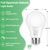 image:imageBrightever 9W A19 Full Spectrum Light Bulbs 6000K Daylight Sunlight Bulbs6000k Daylight White