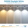 image:imageBrightever PAR20 LED Bulbs 50 Watt Equivalent LED Light Bulb Dimmable 3000K Warm White LED Spotlight Bulb 600 Lumens Energy Efficient 7W E26 Standard Base for Spot Lights Indoor Outdoor 4Pack5000k Daylight White