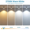 image:imageBrightever PAR20 LED Bulbs 50 Watt Equivalent LED Light Bulb Dimmable 3000K Warm White LED Spotlight Bulb 600 Lumens Energy Efficient 7W E26 Standard Base for Spot Lights Indoor Outdoor 4Pack2700k Warm White